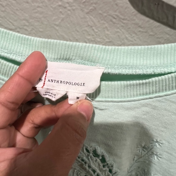 Anthropologie Mint Green Embroidered Sweatshirt Oversized Size M EUC Detailed - Picture 6 of 8